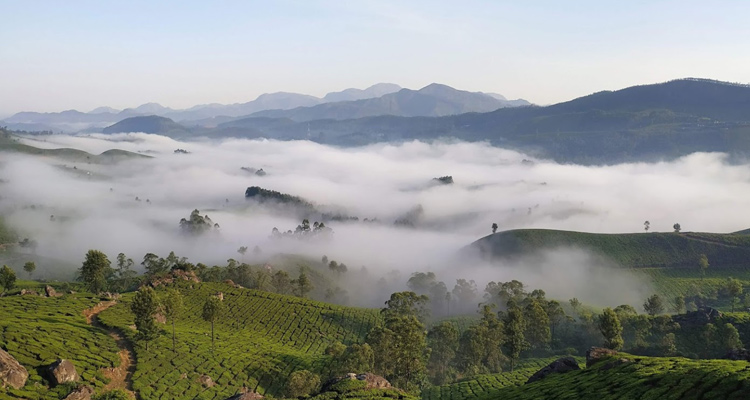 Places to Visit in Munnar for Couples