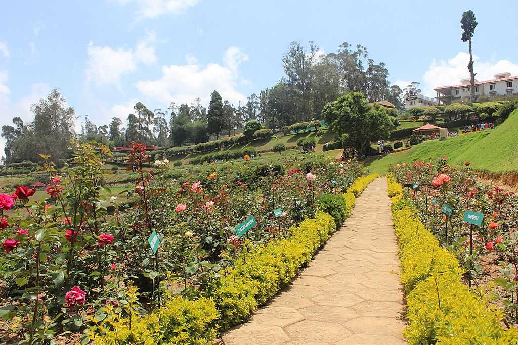 Top Best Places to Visit in Ooty in 3 Days